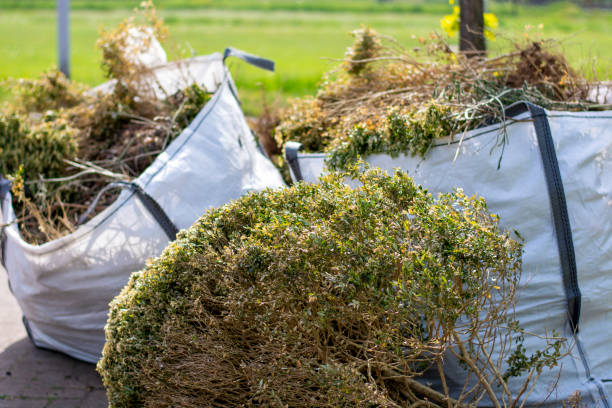 Best Same-Day Junk Removal  in Mount Olive, NC